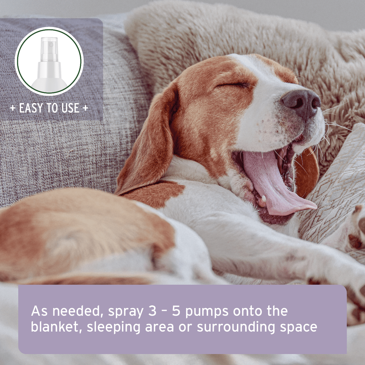 AniForte® Relax Spray 100ml - AniForte UK