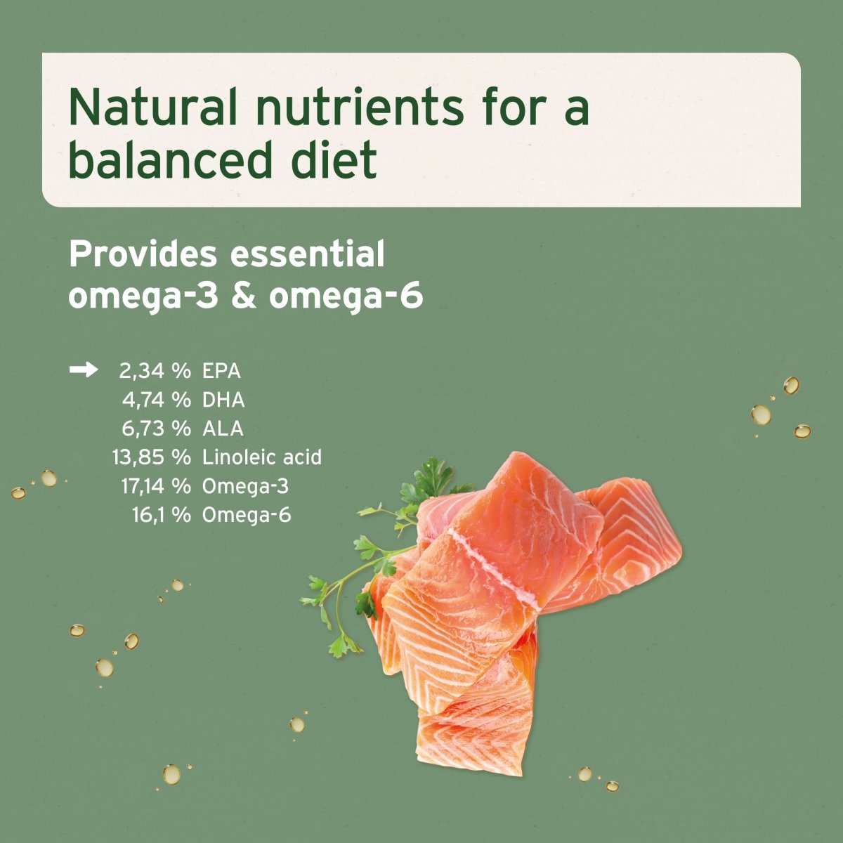 AniForte® Salmon Oil - For Dogs, Cats and Horses - AniForte UK