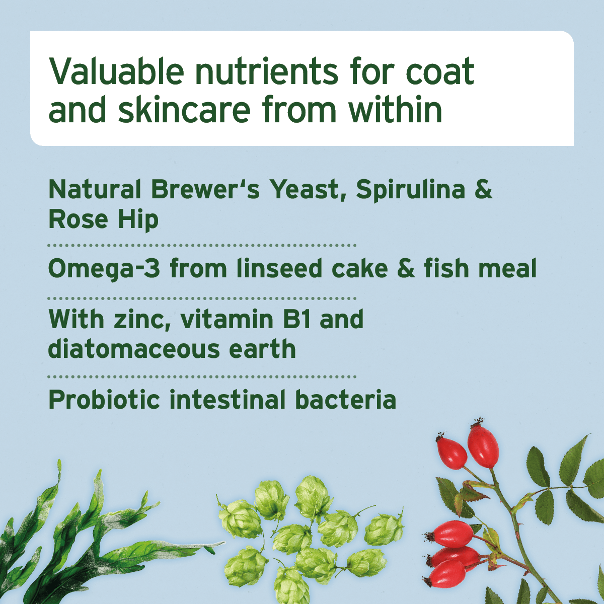 AniForte® Skin and Coat Snack - AniForte UK