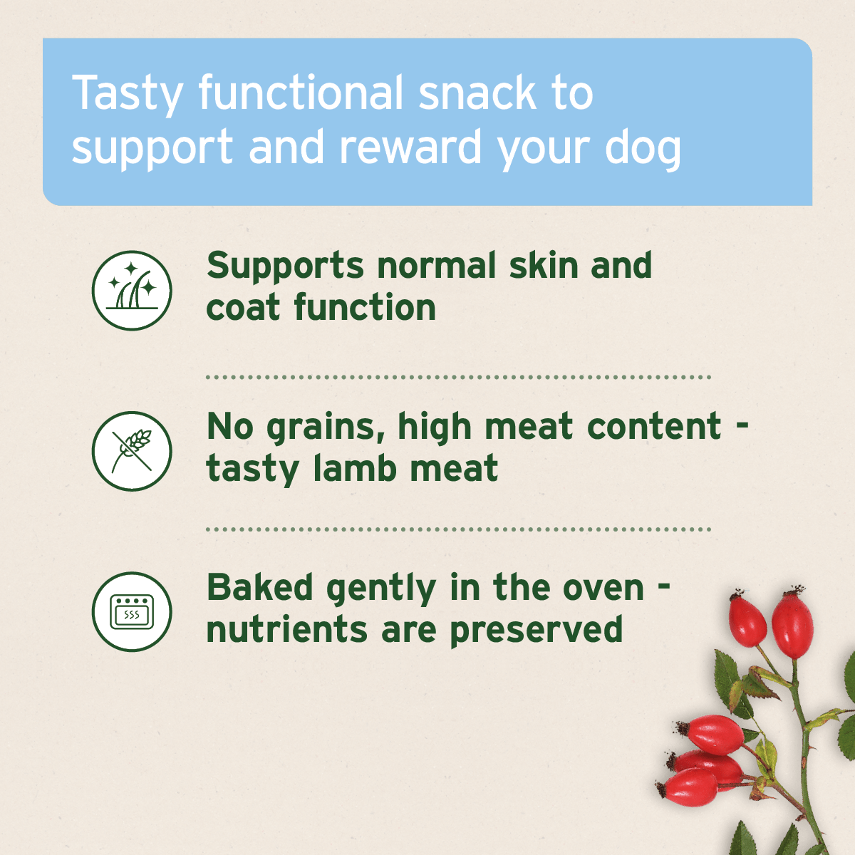 AniForte® Skin and Coat Snack - AniForte UK