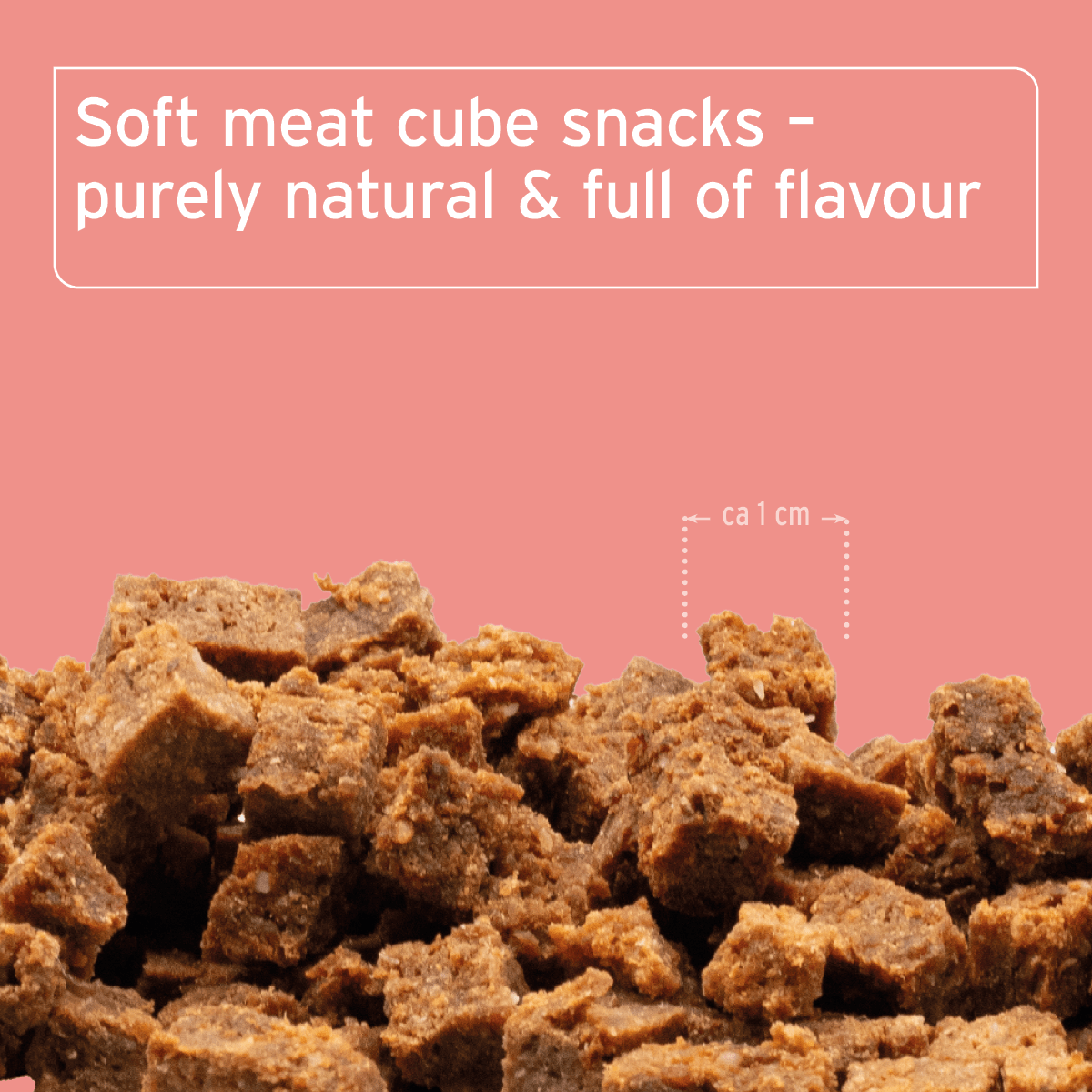 AniForte® Soft Snacks Beef 100g - AniForte UK