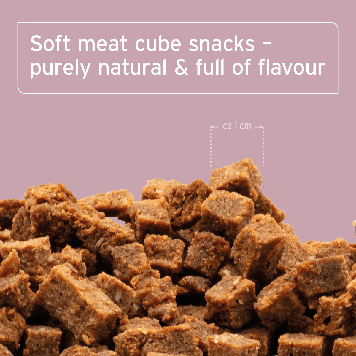 AniForte® Soft Snacks Duck 100g - AniForte UK