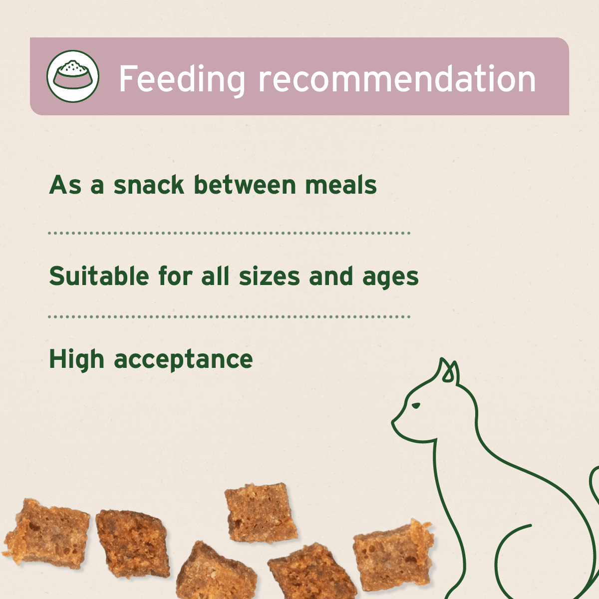 AniForte® Soft Snacks Duck 100g - AniForte UK