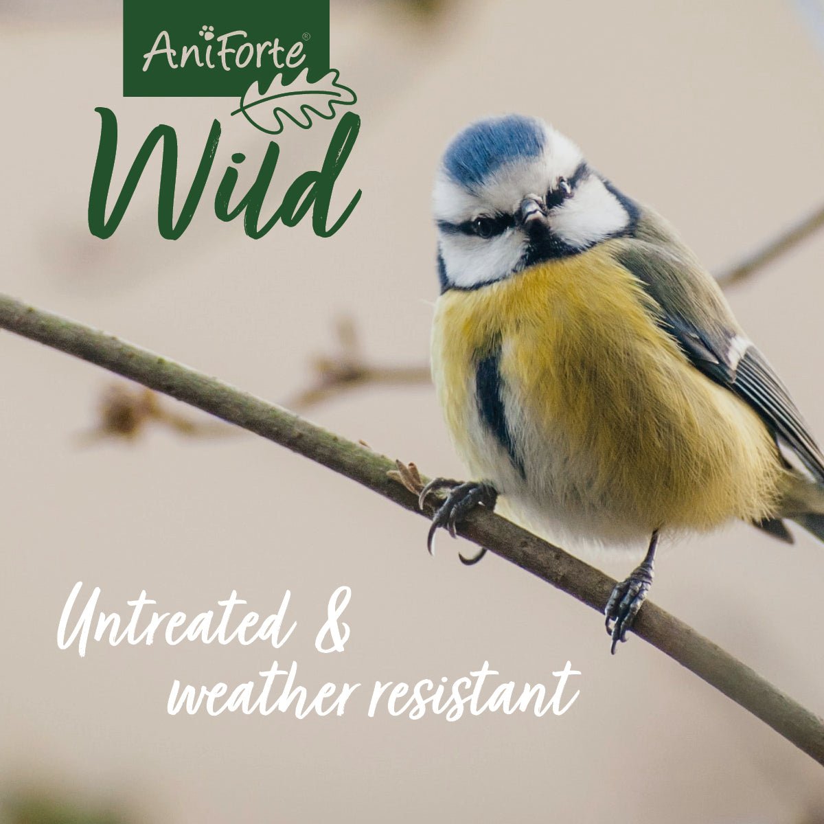 AniForte®Wildlife - Bird Feeding House + 200 g Feed - AniForte UK