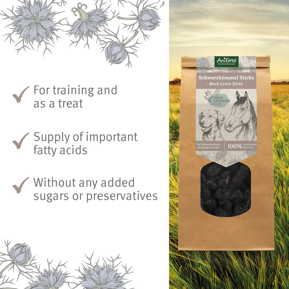 Black Cumin Sticks - AniForte UK