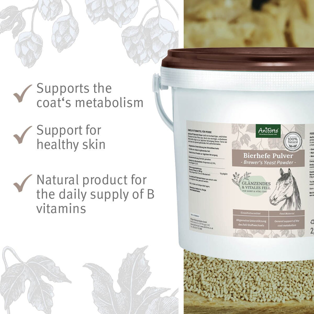 Brewer's Yeast Powder for Horses