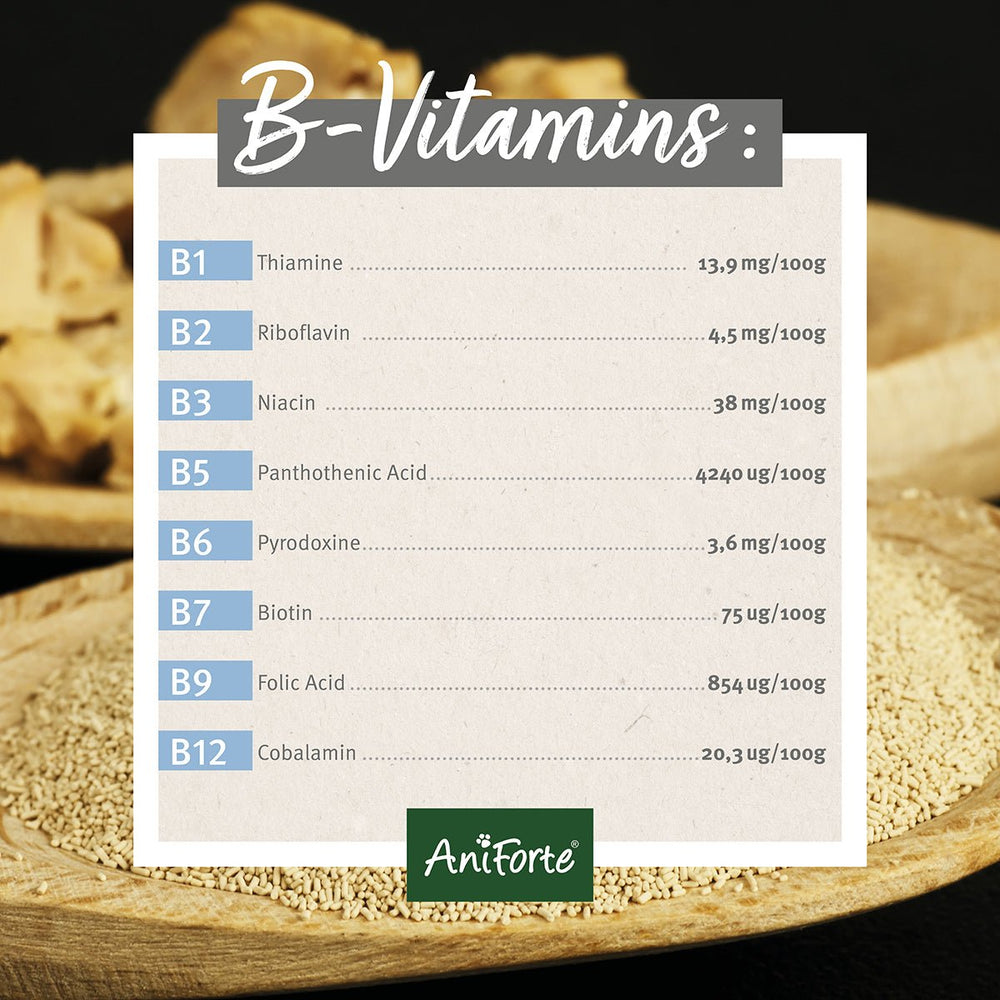 Brewer's Yeast Powder for Horses