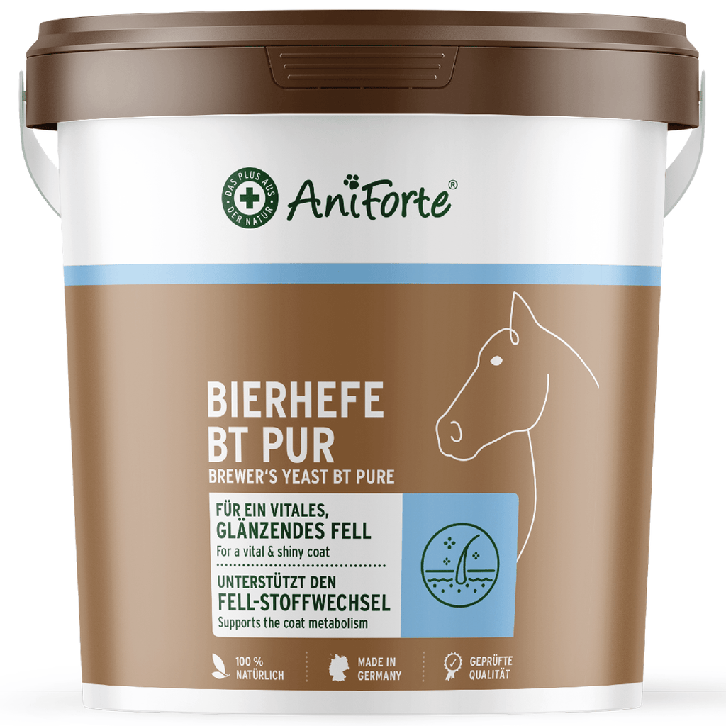 Brewers Yeast Powder Horses