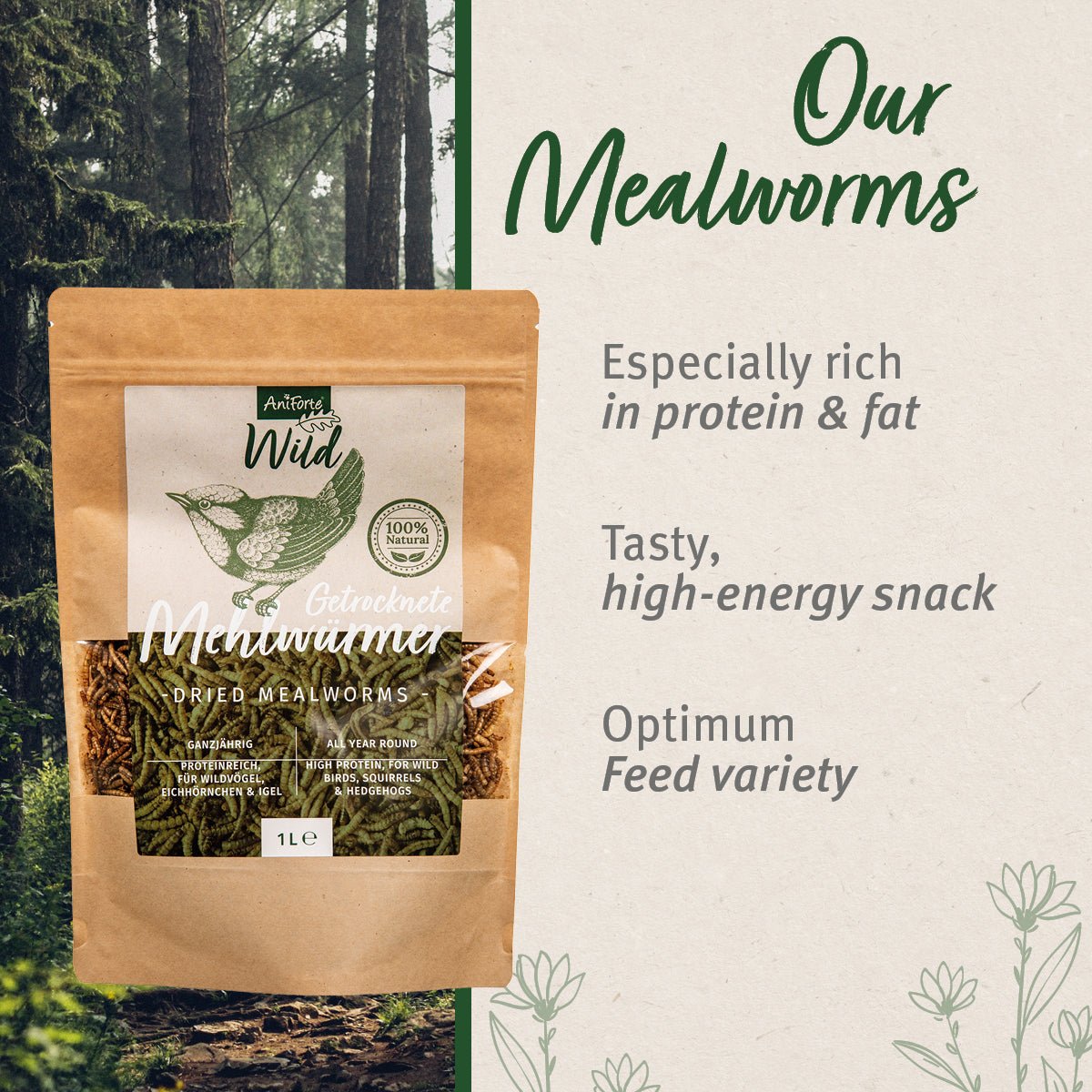 Dried Meal Worms 160g (1l) - AniForte UK