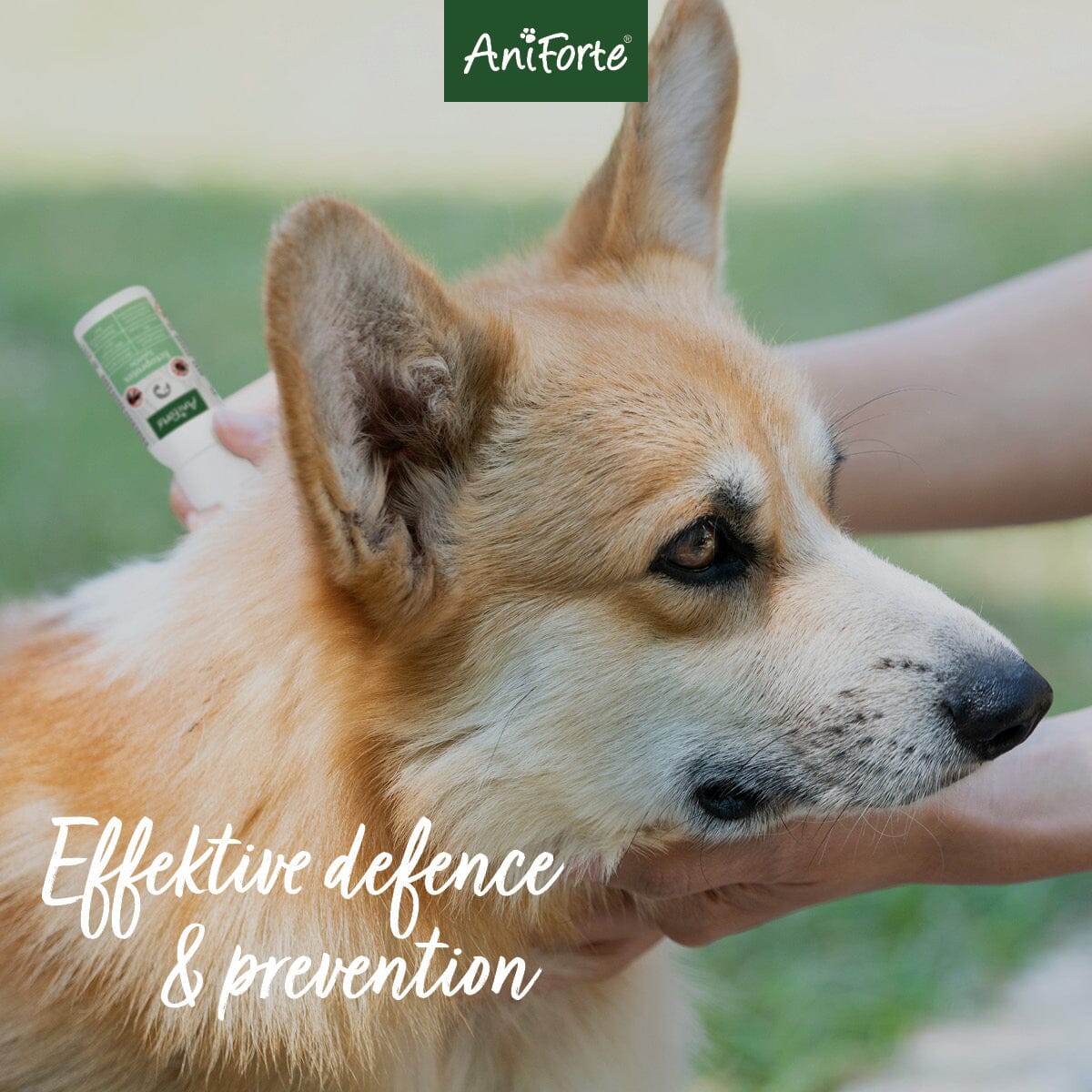 Ectoprotex Dog - 50 ml - Spot-On Tick and Flea Protection - AniForte UK