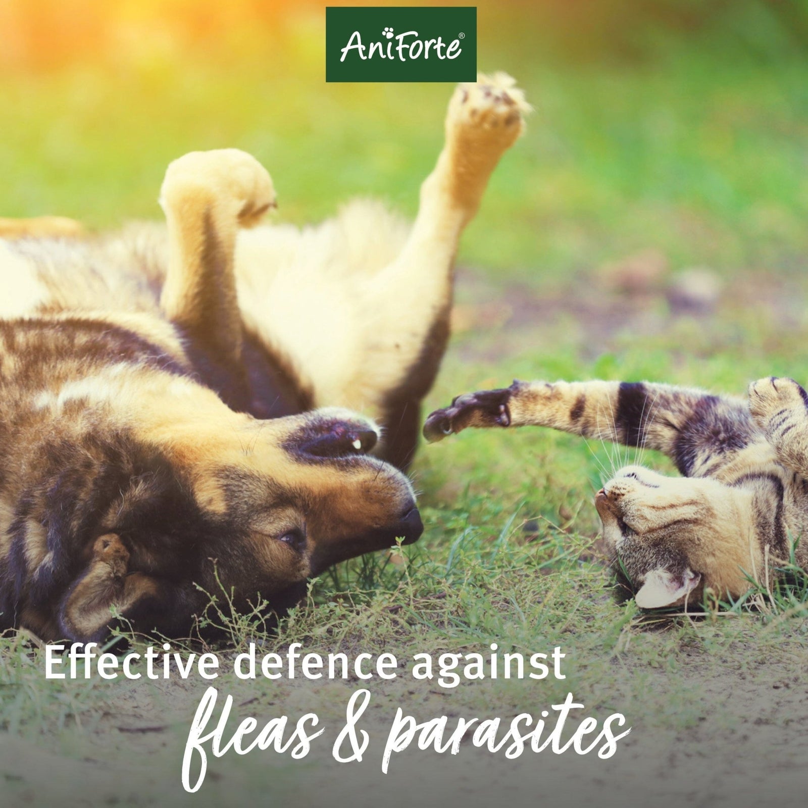 Flea Ex Spray 250ml Flea Repellent & Treatment for Dogs & Cats