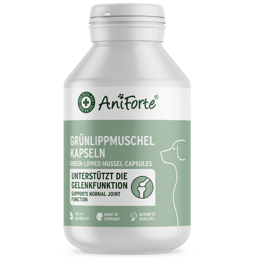Lipped Mussel Capsules Dogs Joint Support Supplement