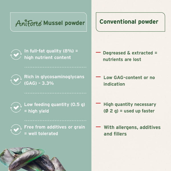 Green Lipped Mussel Powder for Dogs & Cats | Joint Support Supplement