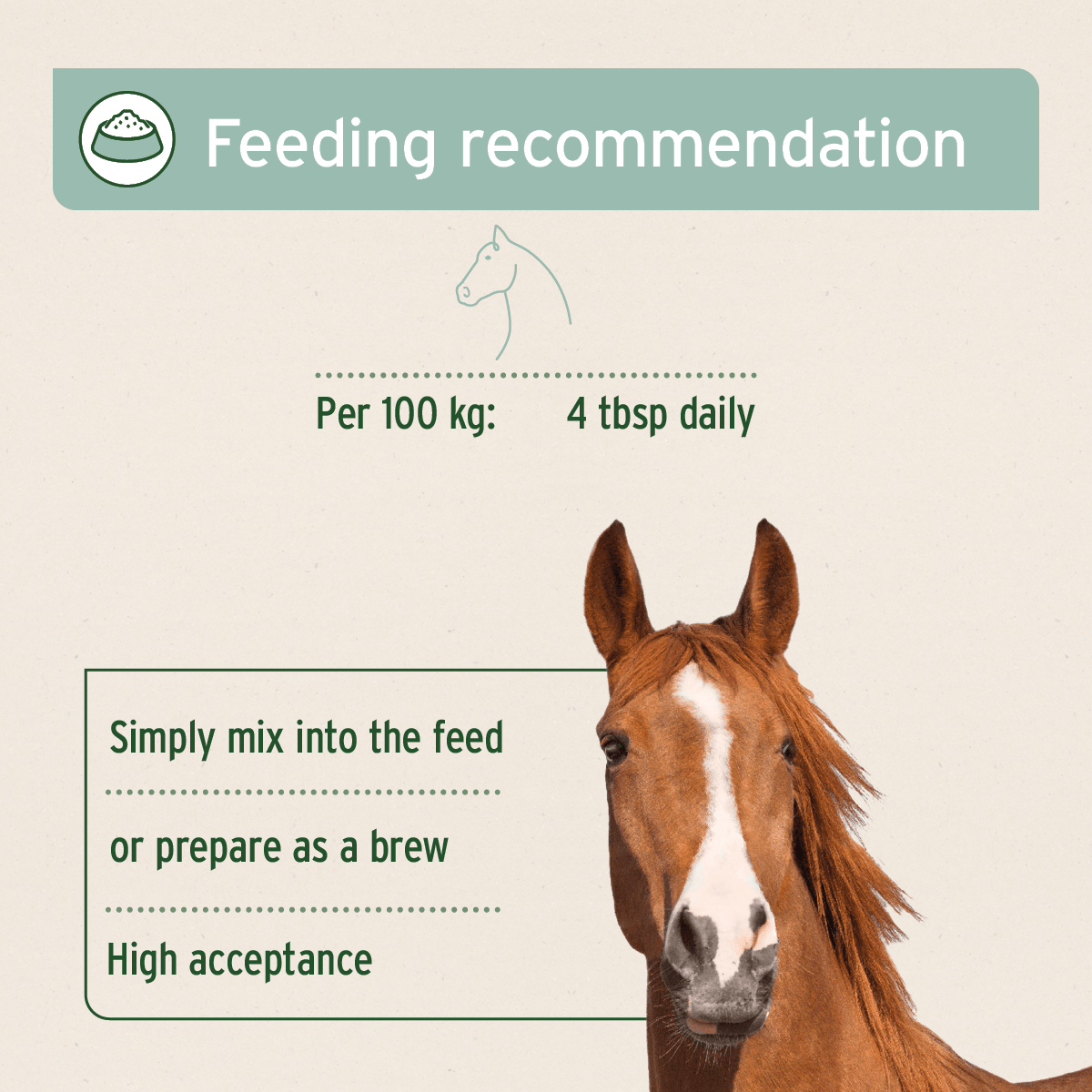 Hoof Acute Supplement for Horses 1kg - AniForte UK