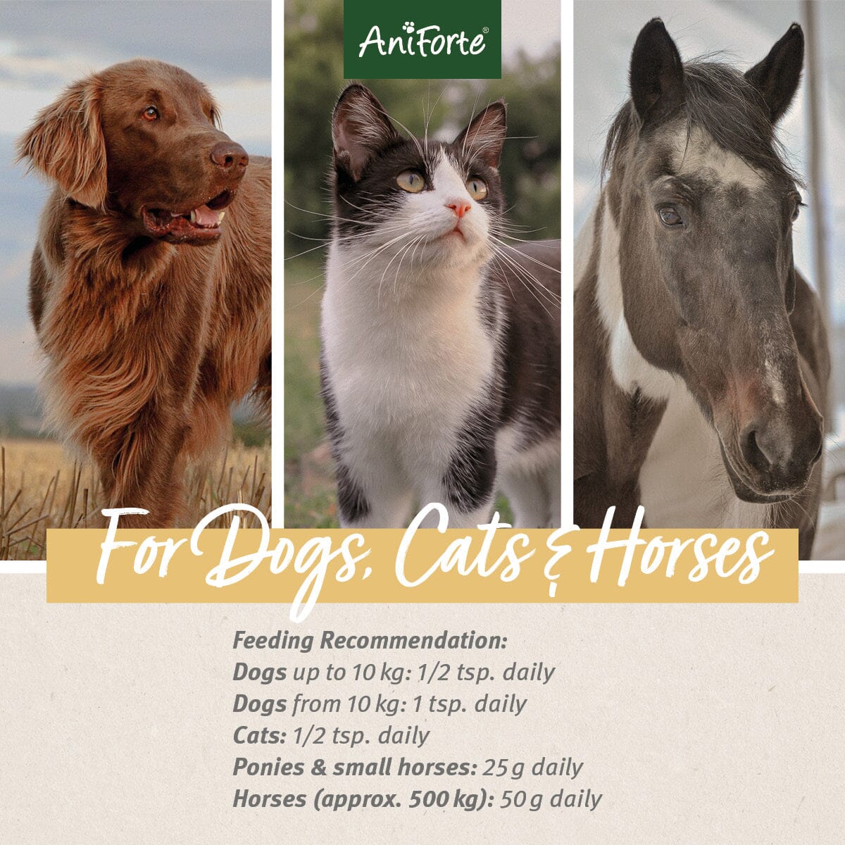 Indian Pysillium Seeds for Dogs, Cats and Horses - AniForte UK