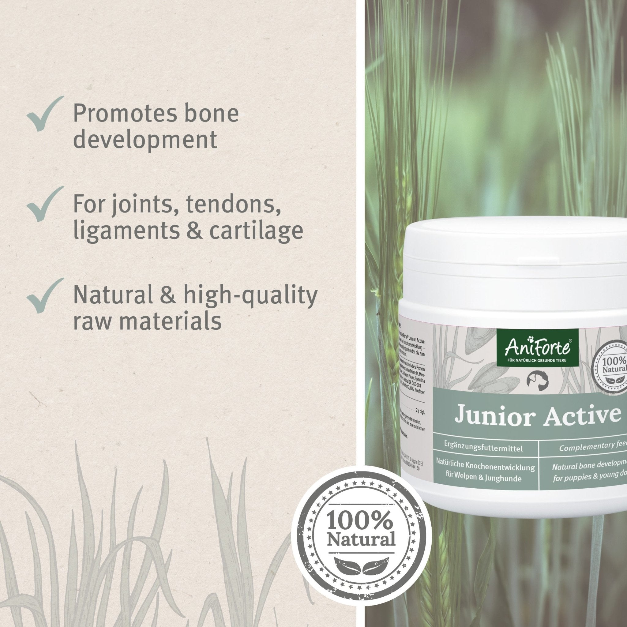 Junior Active Supplement 250g - Supports Healthy Development - AniForte UK