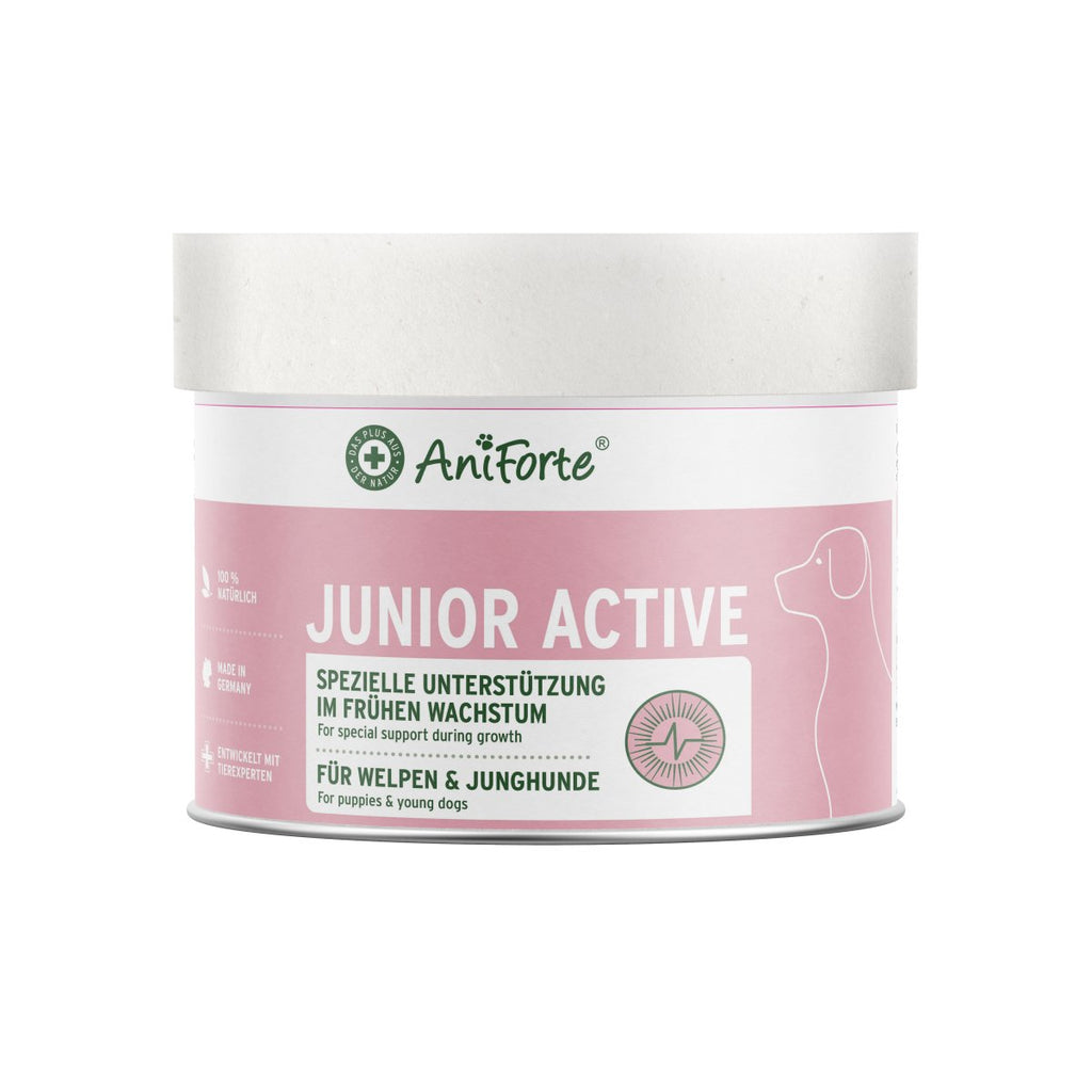 Active Supplement Supports Healthy Development