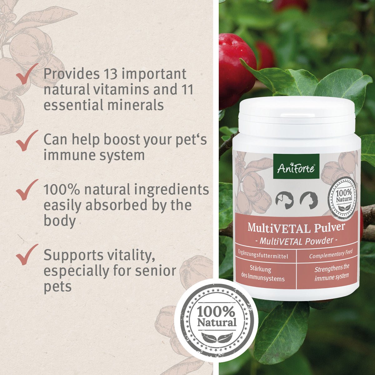 MultiVETAL Powder 100g - Natural Vitamin and Mineral Supplement for Dogs & Cats - AniForte UK