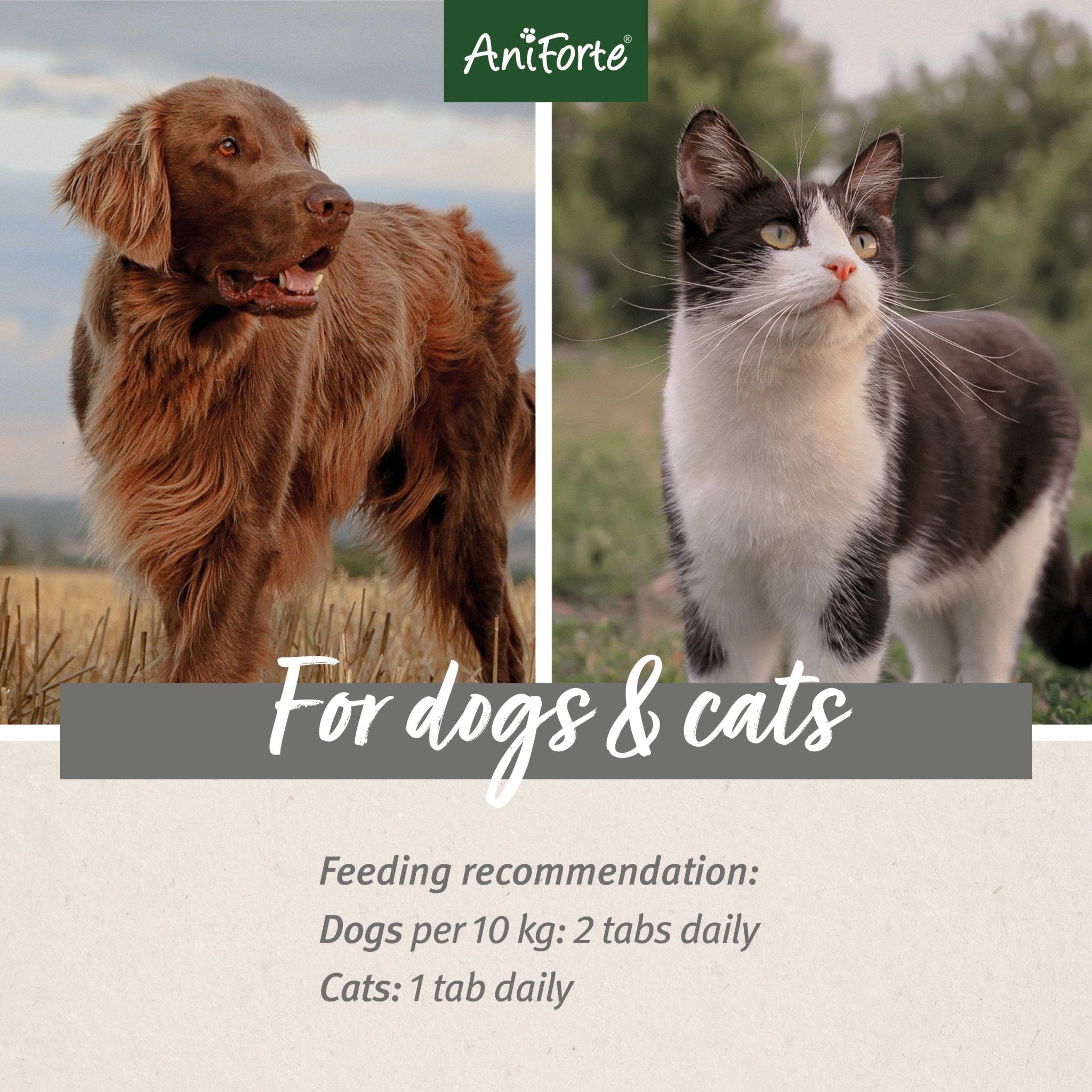 MultiVETAL Tablets for Dogs and Cats - AniForte UK