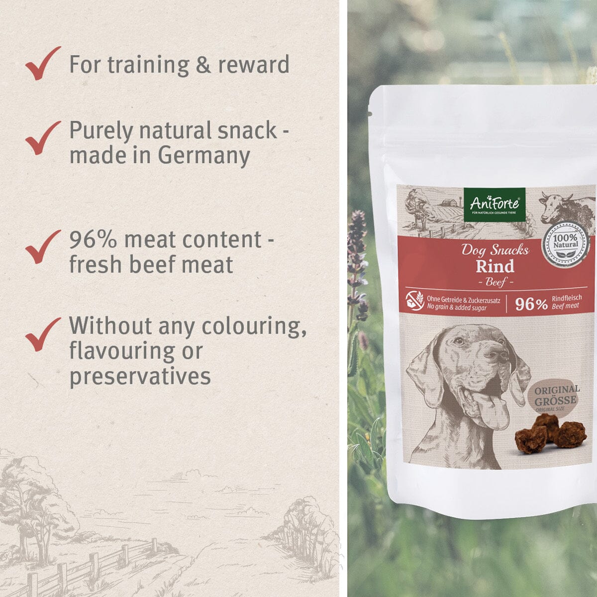 Natural Dog Snacks with Beef - 150g - AniForte UK