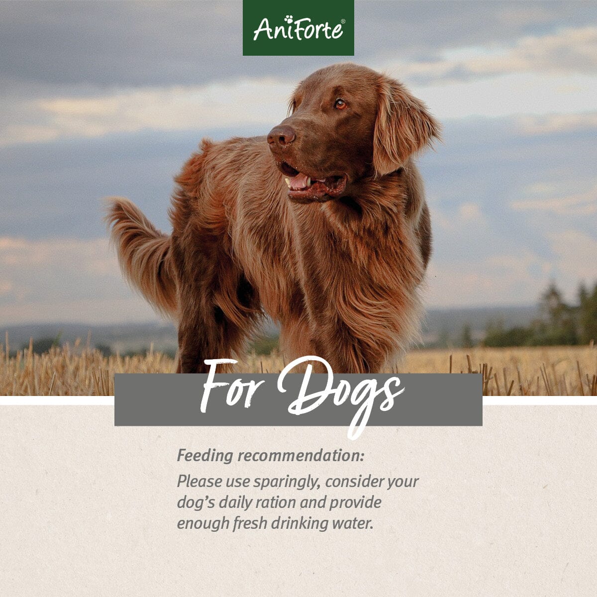 Natural Dog Snacks with Horse - 150g - AniForte UK