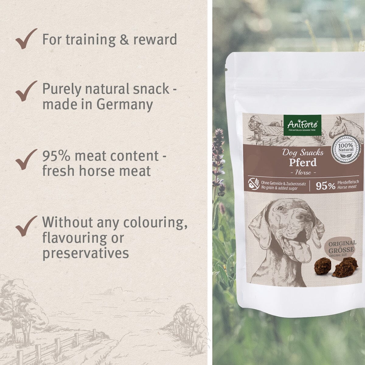 Natural Dog Snacks with Horse - 150g - AniForte UK