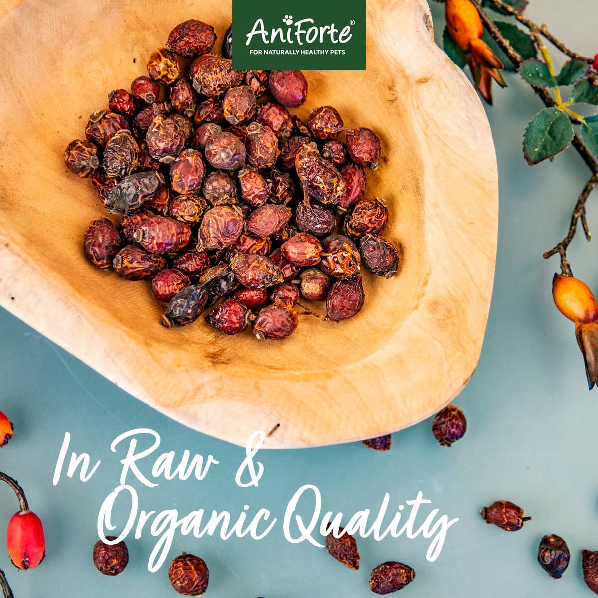 Organic Rose Hips - AniForte UK