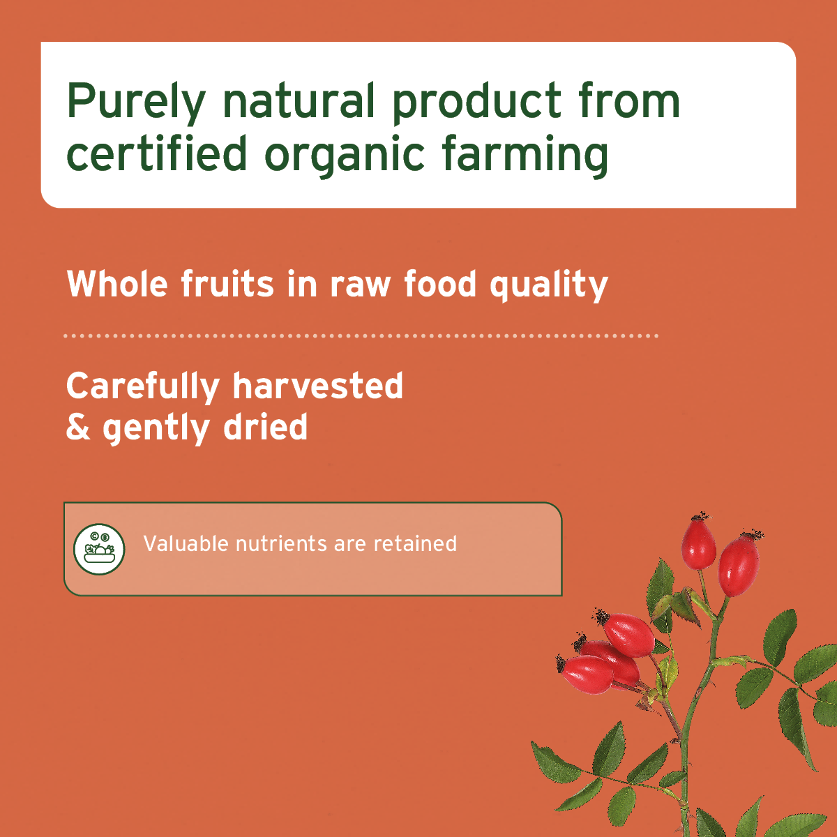 Organic Rose Hips For Horses 1kg - AniForte UK