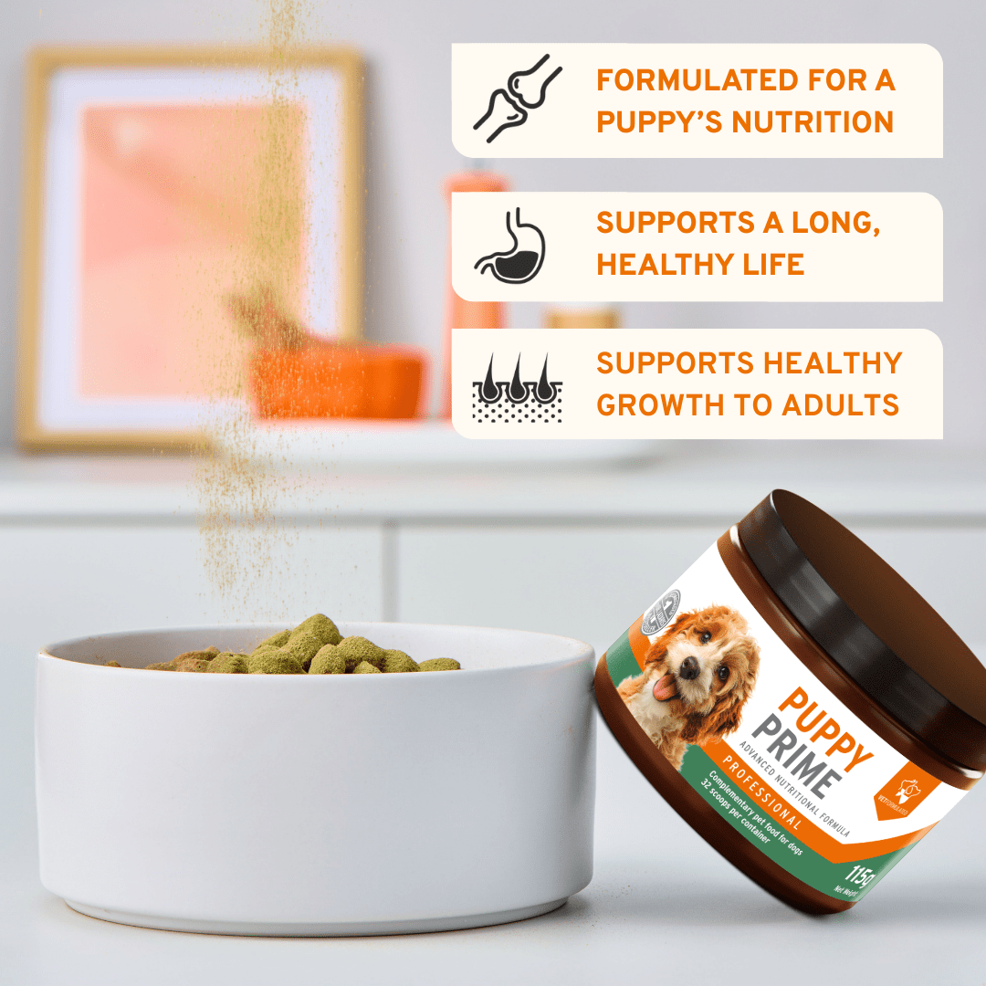 Puppy Prime - AniForte UK