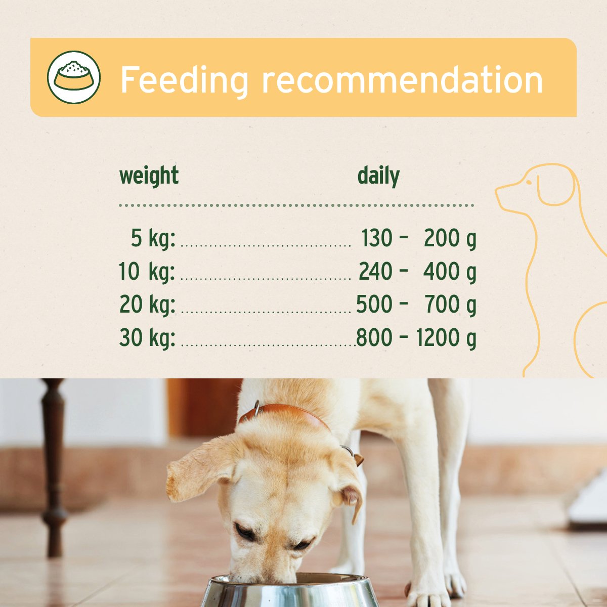 PureNature GreenField Turkey - Wet Food for Dogs