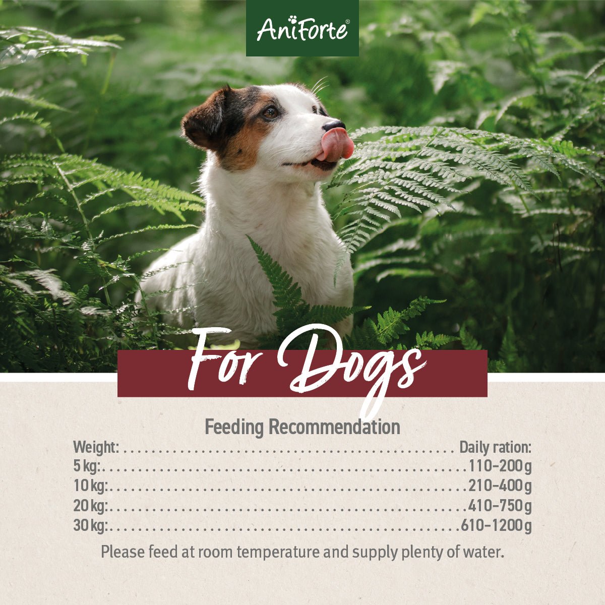 PureNature Pure Beef - Wet food for Dogs - AniForte UK