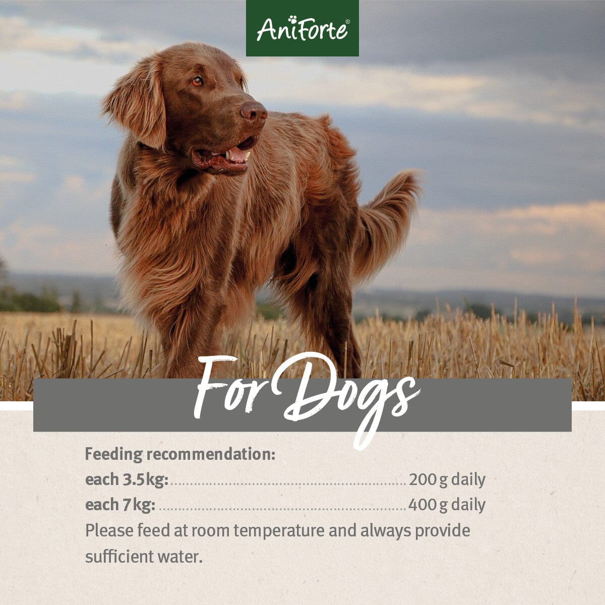 PureNature Wild Forest - Wet Food for Dogs - AniForte UK