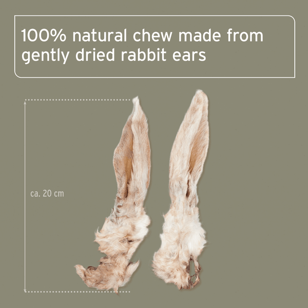 Rabbit Ears with Fur