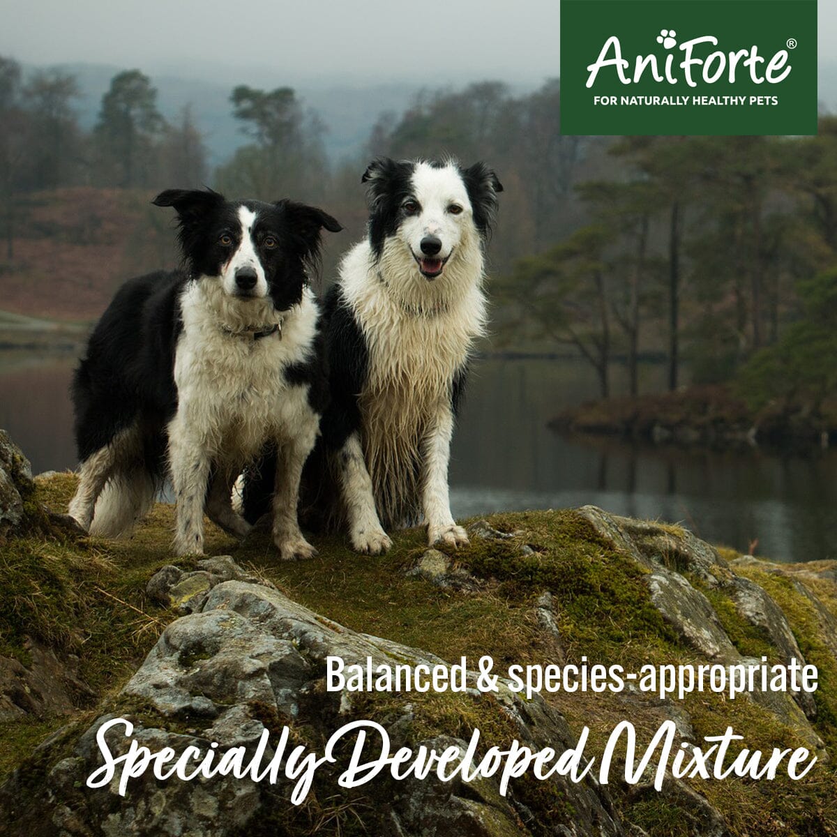 Raw Feeders Essentials - BARF Complete and Fruit and Vegetables with Herbs - AniForte UK
