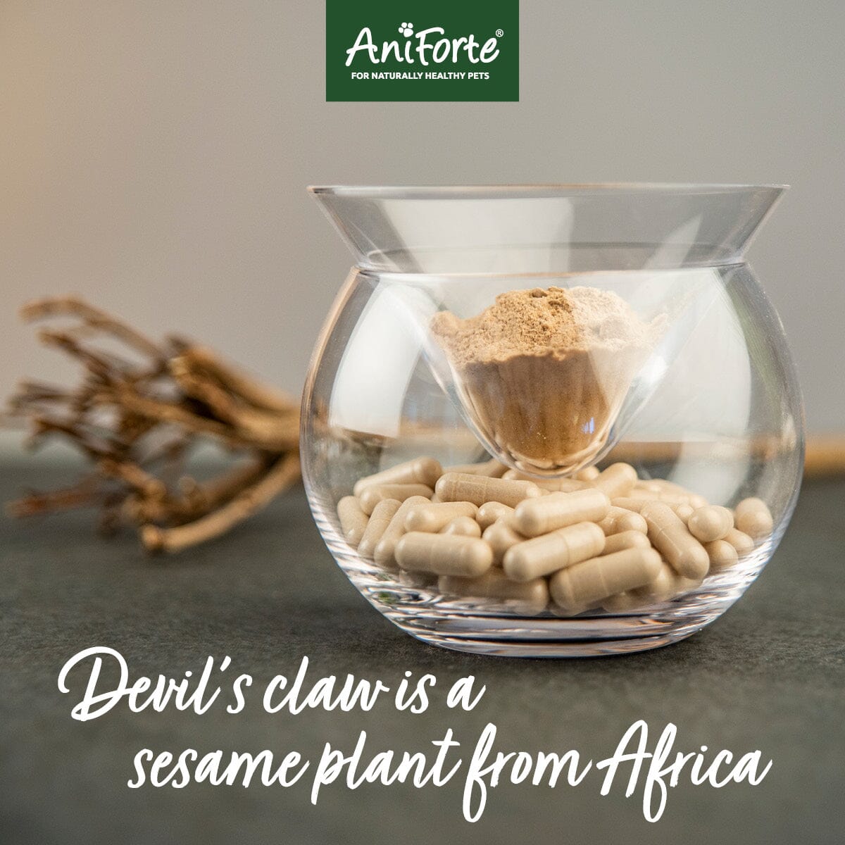 SALE - Devil’s Claw Root 100 Capsules - AniForte UK