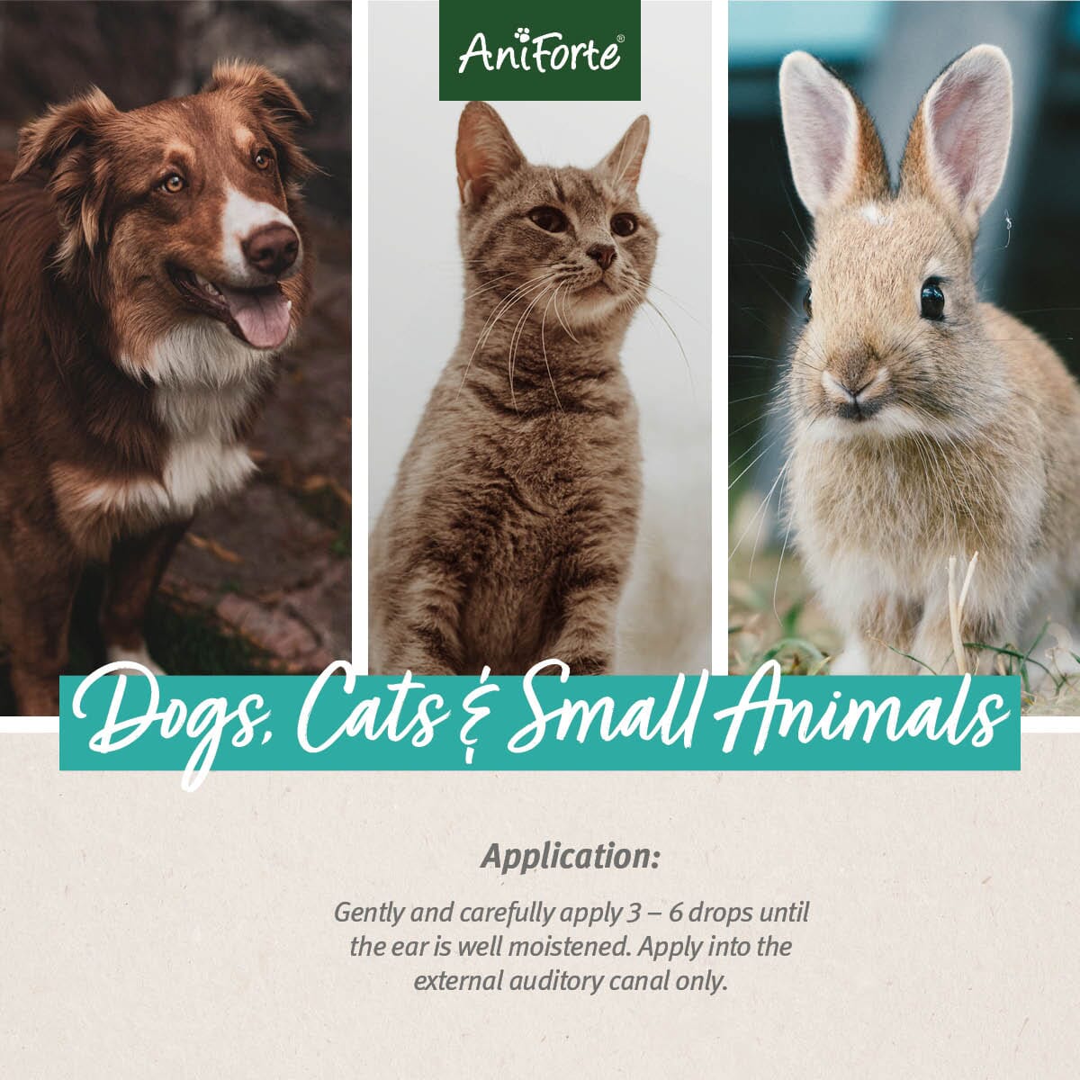 SALE - VET Ear Drops - AniForte UK