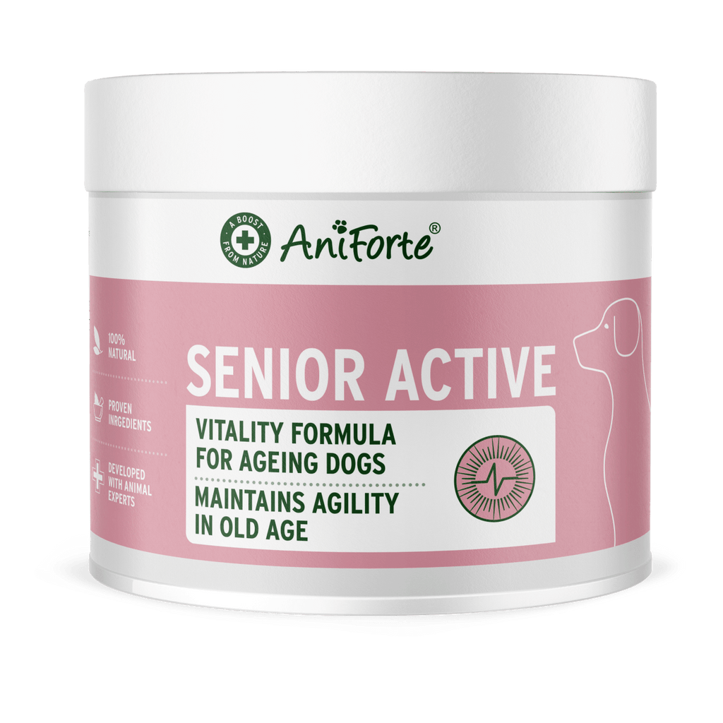 Senior Active Supplement Vitality & Agility Older Dogs