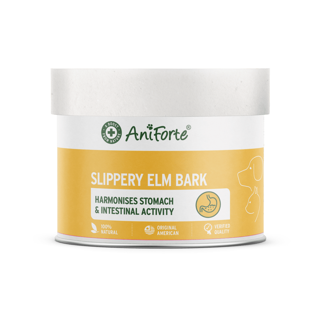 Slippery Elm Bark Powder Supports Digestion Healthy Gastric Mucosa