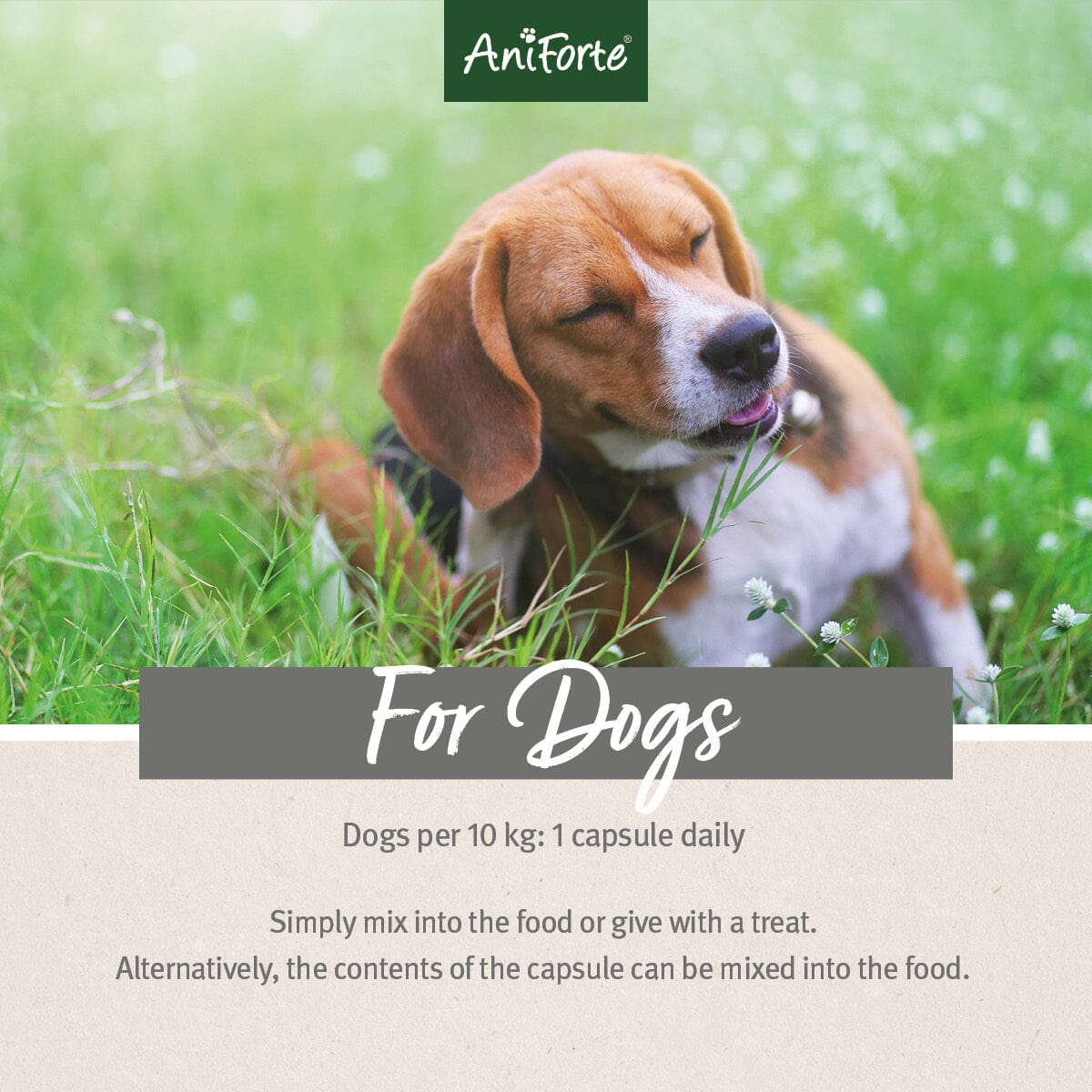 Tick Shield for Dogs - 60 Capsules - AniForte UK